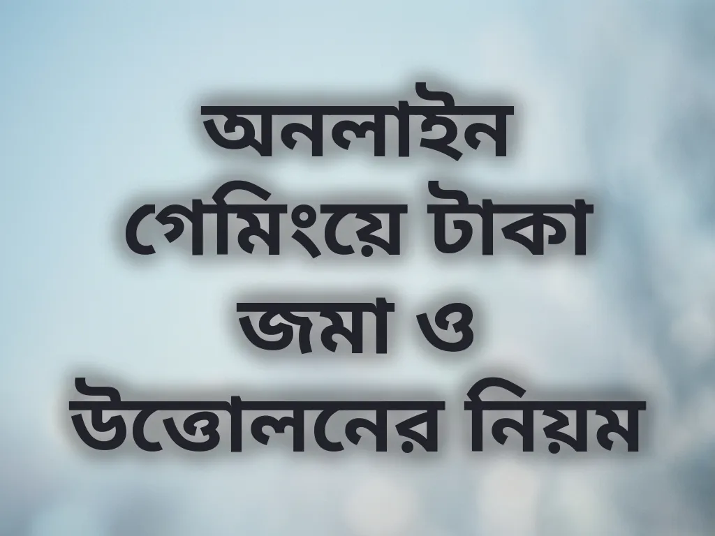 পেমেন্ট প্রসেস গাইড